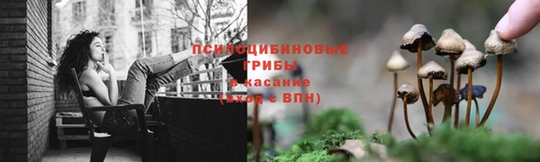 мяу мяу кристалл Новозыбков