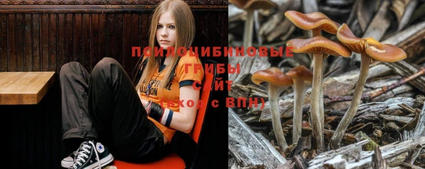 тгк Абинск